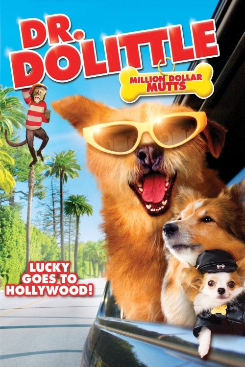 Dr. Dolittle 5: Milyon Dolarlık Köpek